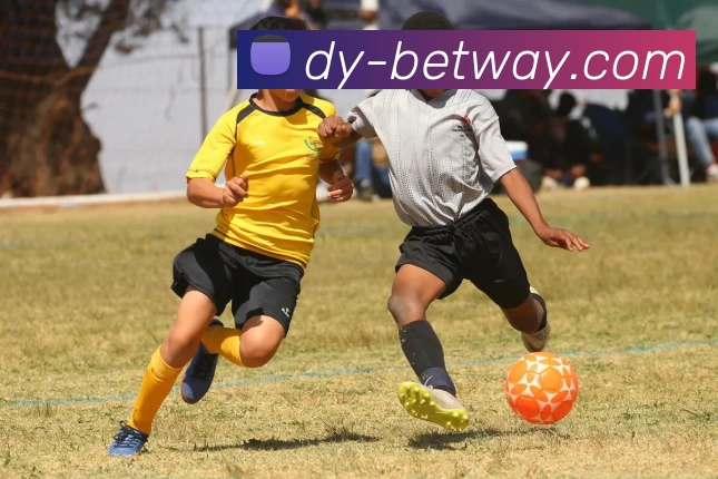 必威体育平台服务体系